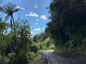 Driving through the Coromandel peninsula