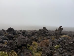 Lava field in the Tongariro Alpine Crossing