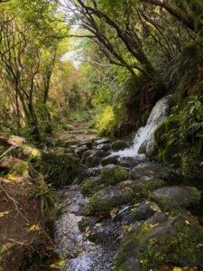 Climbing over rocks and past creeks to the Dawson Falls, Egmont National Park