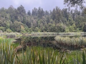Lake Matheson near Fox Glacier on the west coast of New Zealand